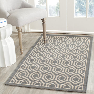 Doerr Hooked Grey/Beige Indoor/Outdoor Rug