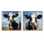 «Black and White Cow Grazing The Meadows I», ensemble de 2 impressions sur toile-1075725461-1075725460