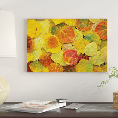 Fallen Autumn Aspen Leaves In Dew Droplets, Colorado by Tim Fitzharris - Graphic Art