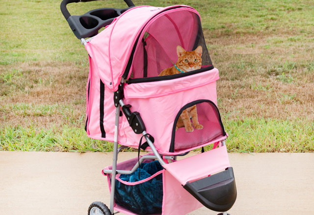 Top-Rated Pet Strollers