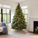  Carolina Pine Tree with Clear Lights