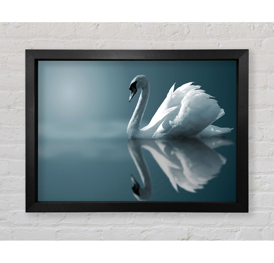 Swan Reflections - Einzelner Bilderrahmen Kunstdrucke