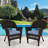 Burrowes Patio Chair with Cushions SET-21220049-26962521