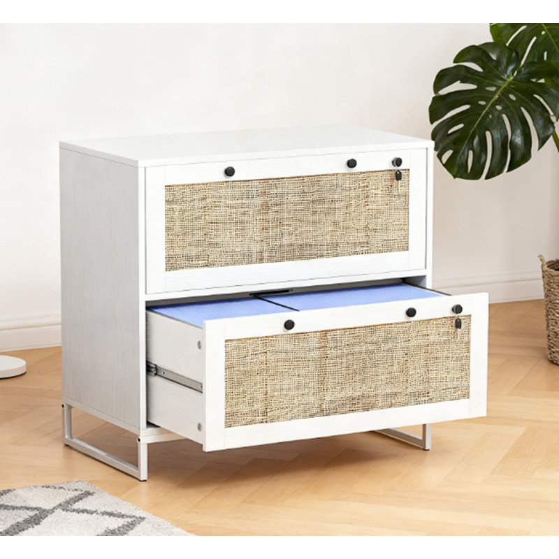 2 Drawer File Cabinet With Adjustable Hanging Bar, Accent Cabinet, White