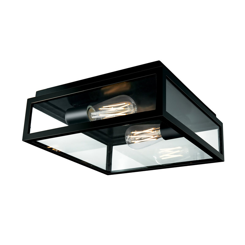 Plafonnier encastré d'extérieur 2 lumières de 12 po de large capture - noir mat