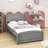 Twin Size Wood Platform Bed with Two Drawers-240155815