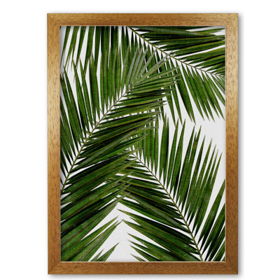 Palm Leaf III - Print