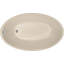 Carli 60'' L Soaking Bathtub-9227750-88749852
