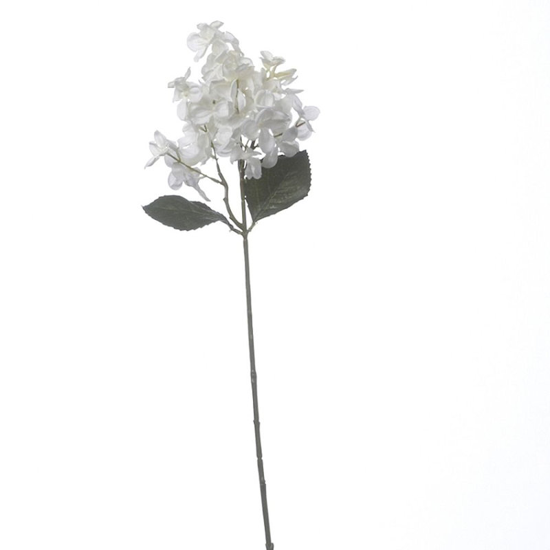 Hydrangea Arrangement