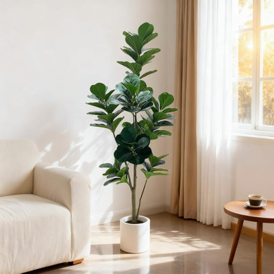 180cm Plant