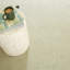 Miss Muffet Handwoven Cotton Rug-1975441029-2006139434