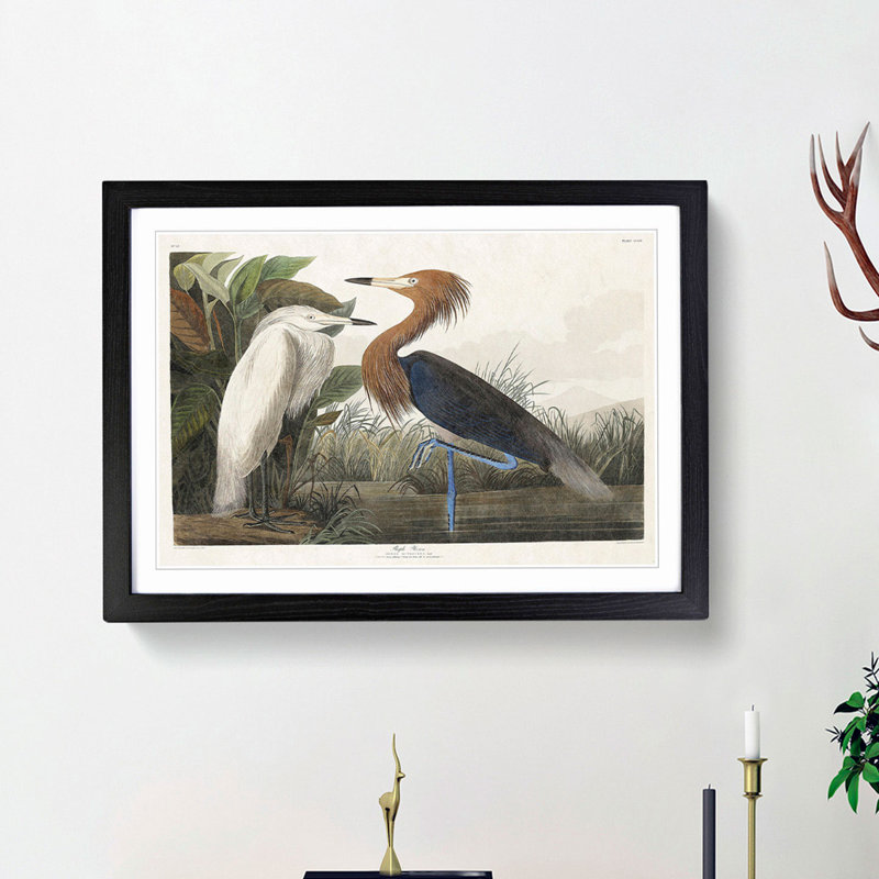 Heron by John Audubon - Picture Frame Painting Print, 27cm H x 36cm W x 2cm D, Black Framed