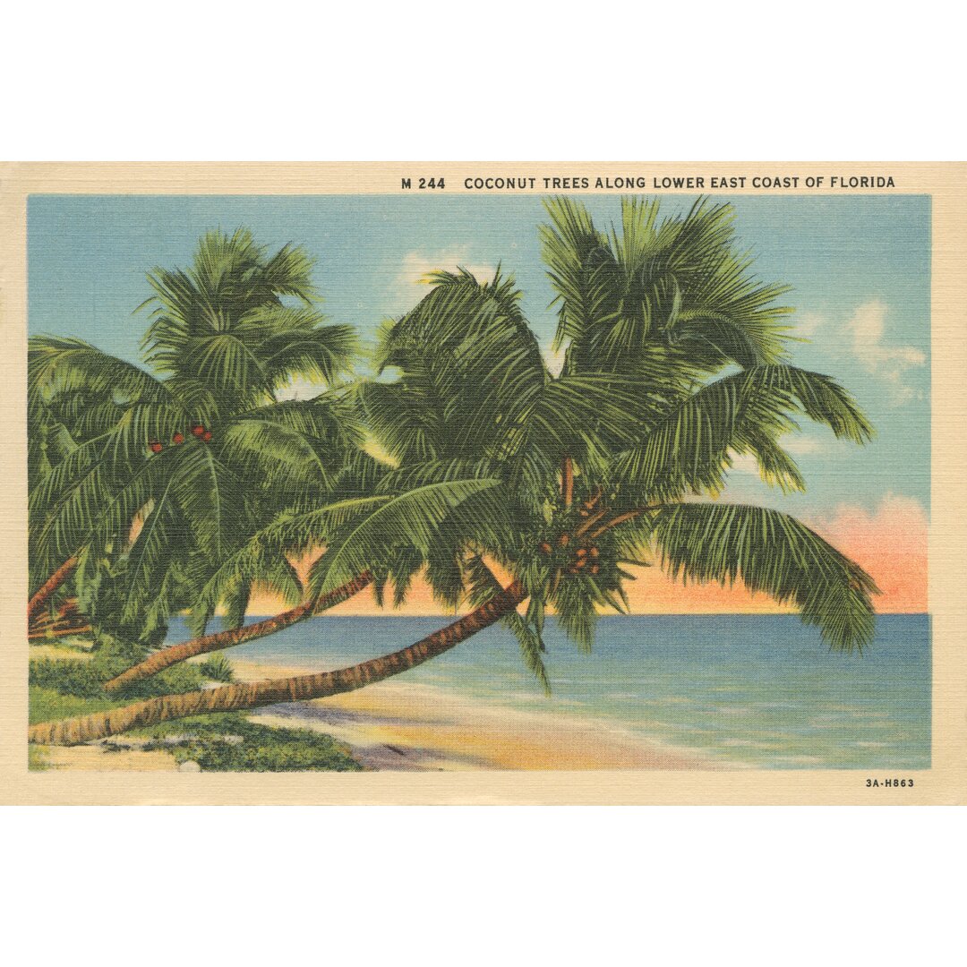 Leinwandbild Florida Postcard III von Wild Apple Portfolio