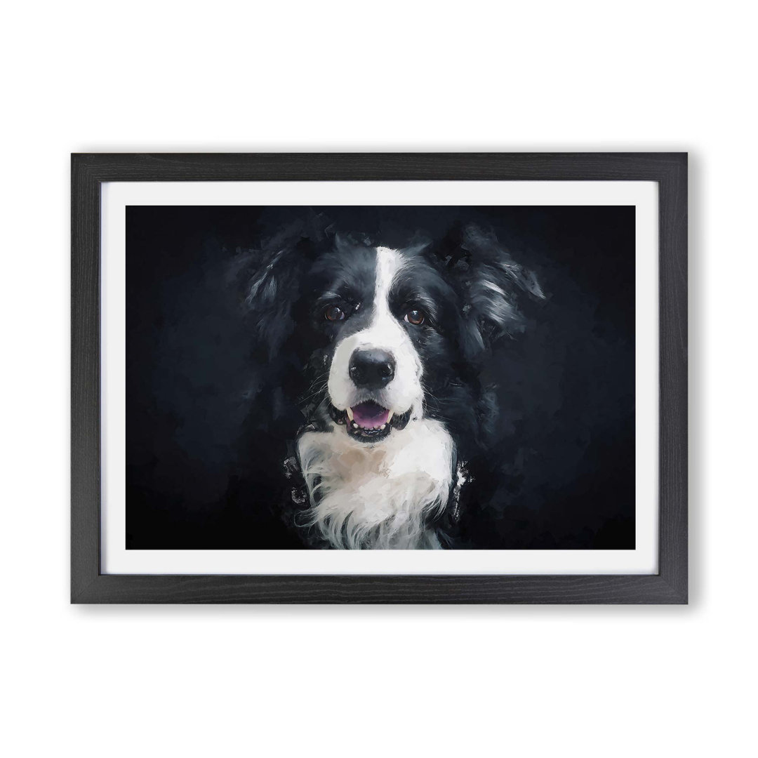 Portrait of a Border Collie Dog - Framed Print
