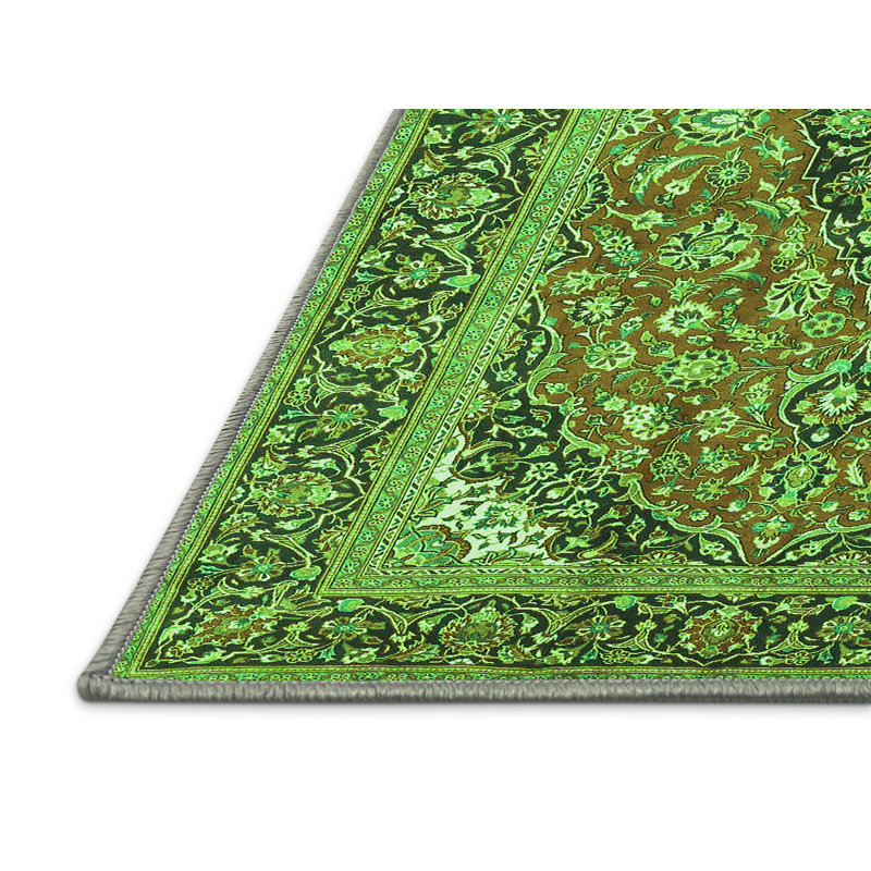 Amitiel Washable Oriental Indoor Rug, Rectangle 5' x 7'