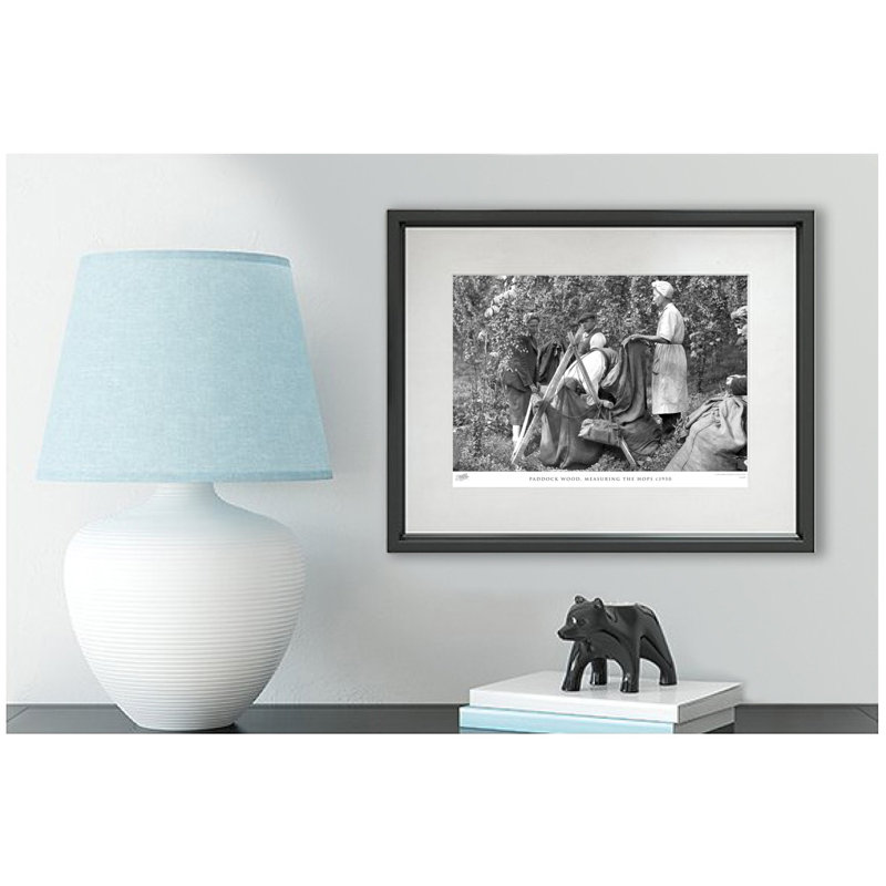 Paddock Wood, Measuring The Hops C1950 by Francis Frith - Single Picture Frame Print, 60cm H x 80cm W x 2.3cm D