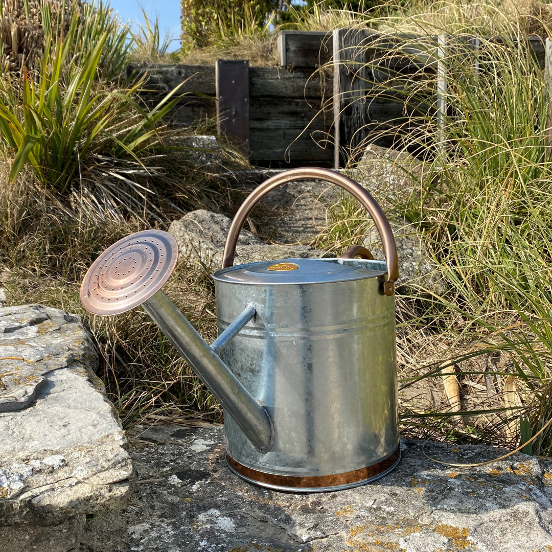 Metal Plant Stand