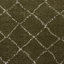 Pechler area rug Machine Woven Green-1409279432