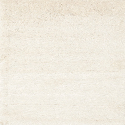 Indoor Rug