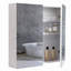 Cheree W 600mm H Surface Frameless Medicine Cabinet Mirror 3 Adjustable-1233364234