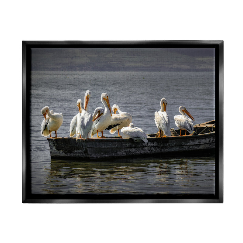 «Pelican Flock on Floating Lake Boat» par David Lorenz - Photographie de cadre flottant sur toile