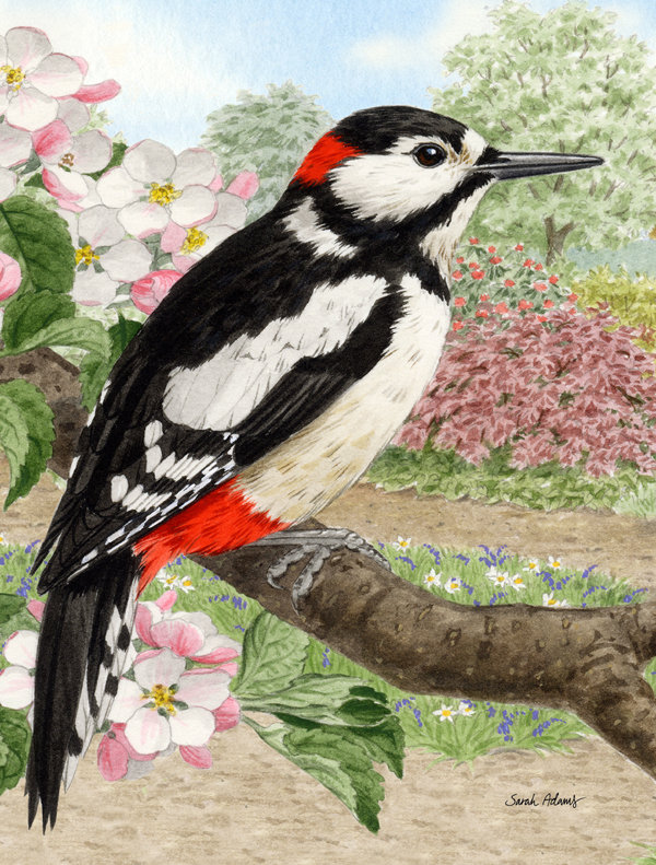 Woodpecker Double Sided 40'' H x 28'' W Polyester Animal House Flag