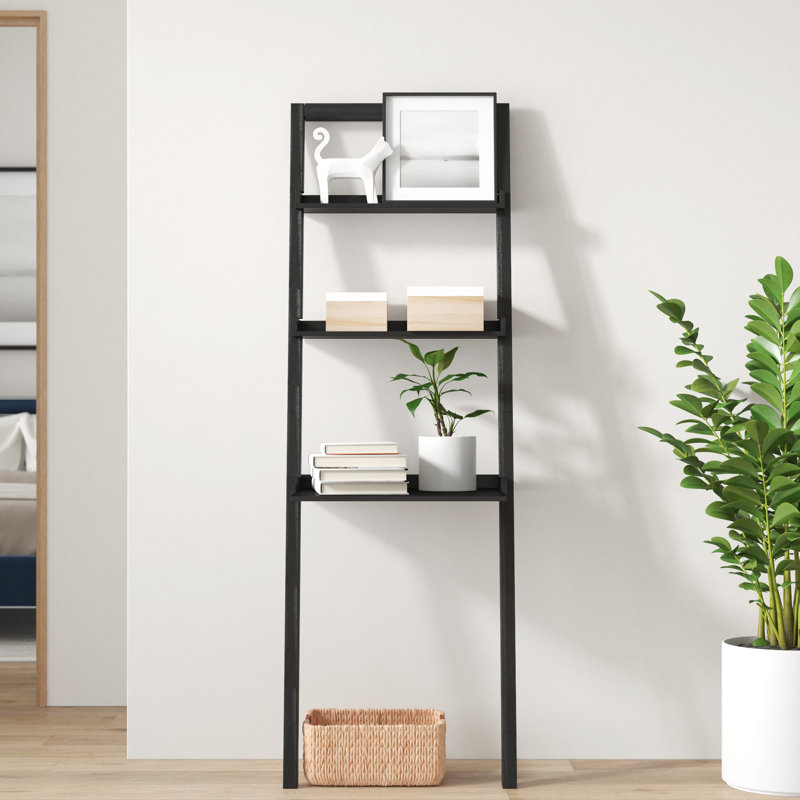 Danikka Ladder Bookcase