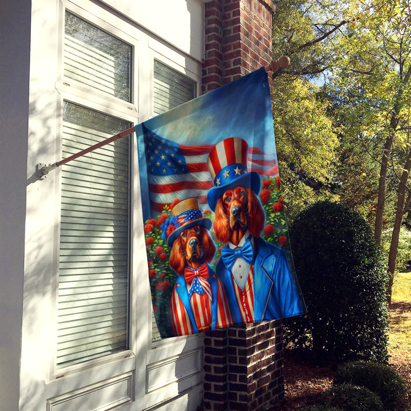 Drapeau «All American House», Setter irlandais à rayures bleues / rouges