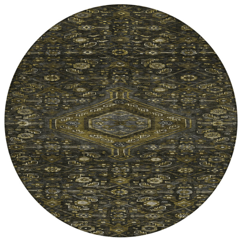 Tapis intérieur lavable 8 pi