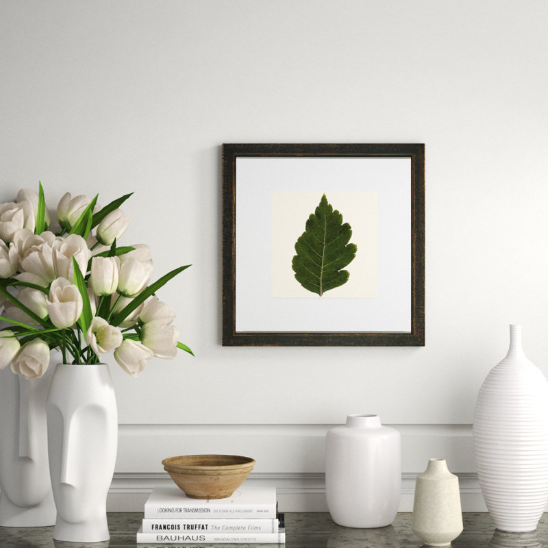 Small Pressed Leaves III Print