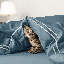 Ensemble de housse de couette -1584324002-1584324011