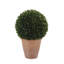 12" Artificial Boxwood Plant in Round Pot-553209785