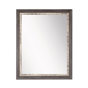 World Menagerie Loewen Coastal Modern Distressed Accent Mirror | Wayfair