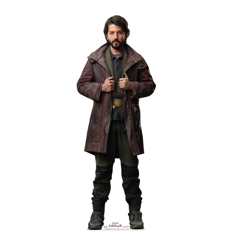 Cassian Andor