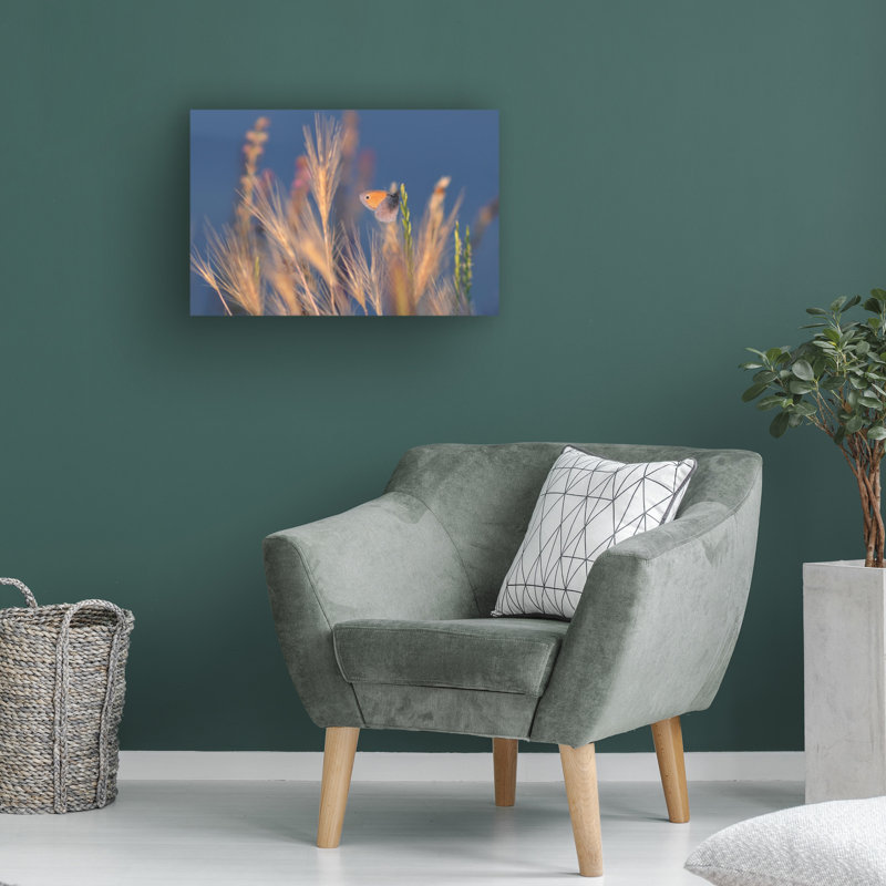 Art sur toile «Butterfly Dragana Trajkovic», H 12 po x l 19 po