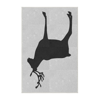 Indoor Rug