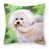 Bichon Frise 2