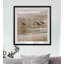 " Shore Birds I "-1605532892