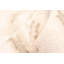 Tapis ivoire Dove 5 pi 0 po x 8 pi 0 po-1758142790