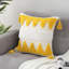 Housse de coussin d'intérieur en polyester-1531373481