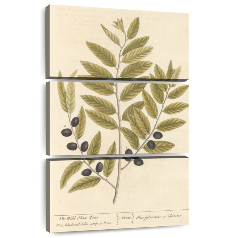 Keiri Olive Branch I, 32" H x 20" W