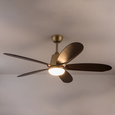 Mahawa 52" Ceiling Fan with LED Lights