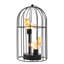 Eleutherius Metal Desk Lamp