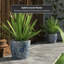 Ceramic Planter-2018868929