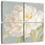 Pivoine de jardin Harnek neutre