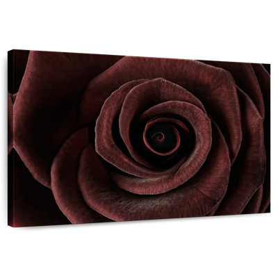 Rose foncé
