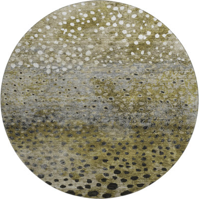 Premium Machine Washable Christina AMF1074 Circles Rug