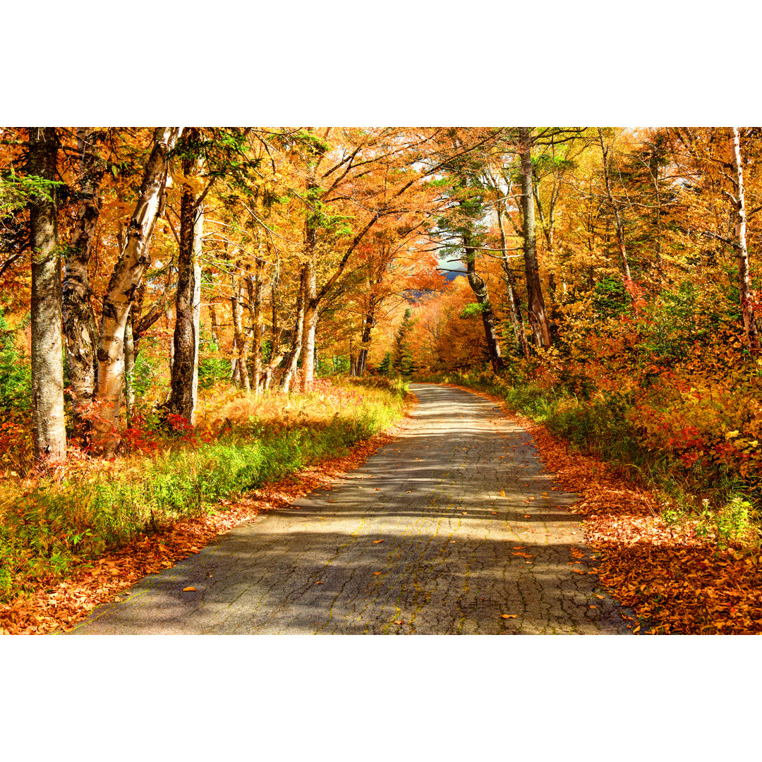 Herbststraße in den Bergen