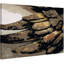 Parvez Taj - Wrapped Canvas Print-16673801