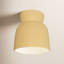 Radiance Collection™ Outdoor Flush Mount-1884733331-1884733335
